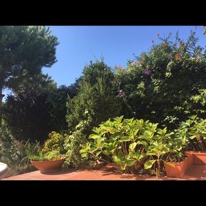 Meet your Posher, Daniela